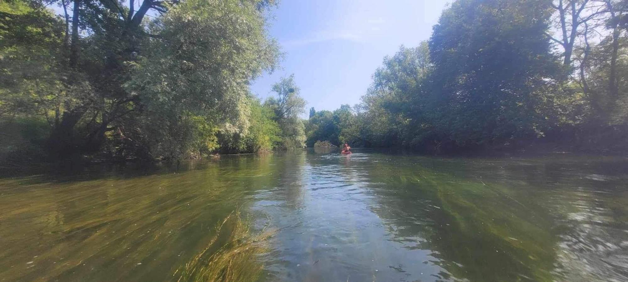 Detente A Sorques Montigny-sur-Loing エクステリア 写真
