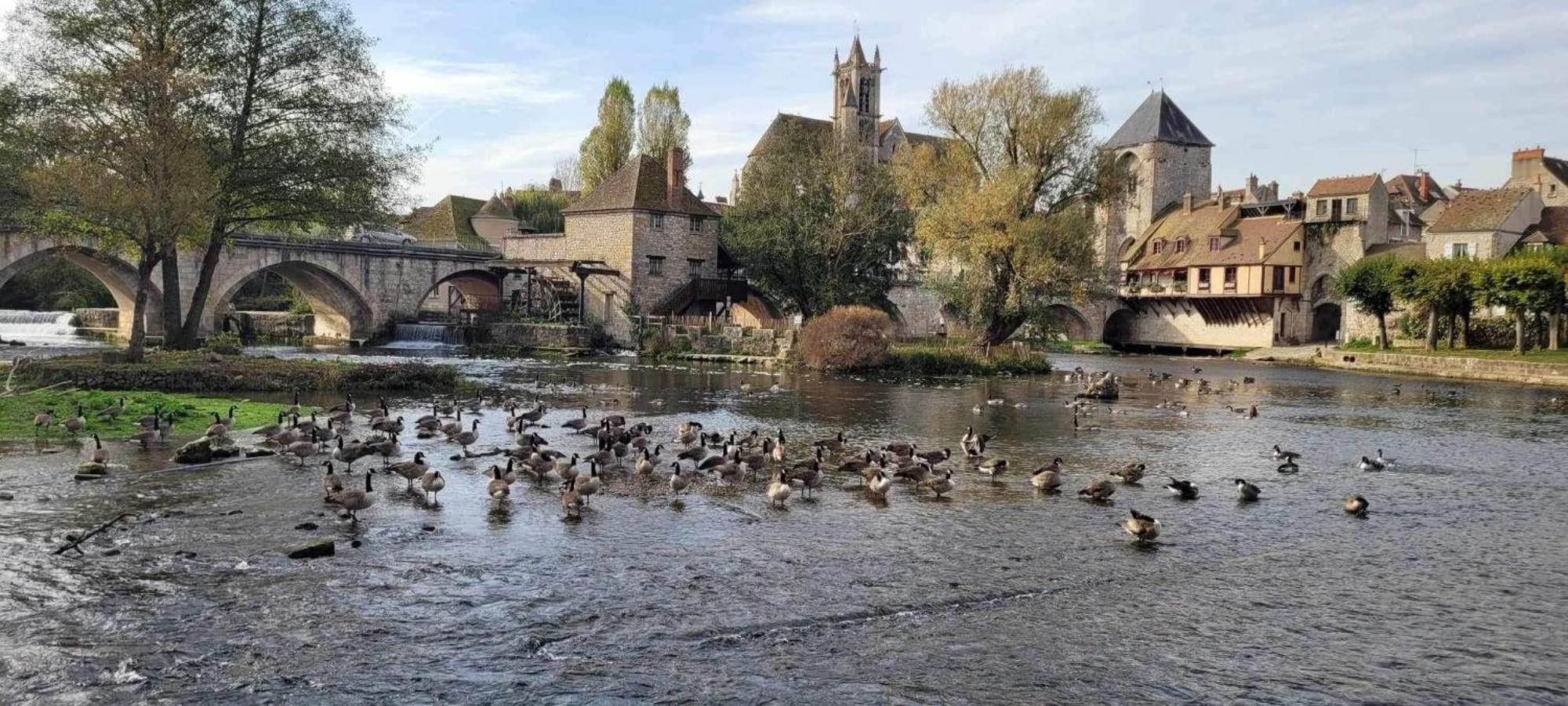 Detente A Sorques Montigny-sur-Loing エクステリア 写真
